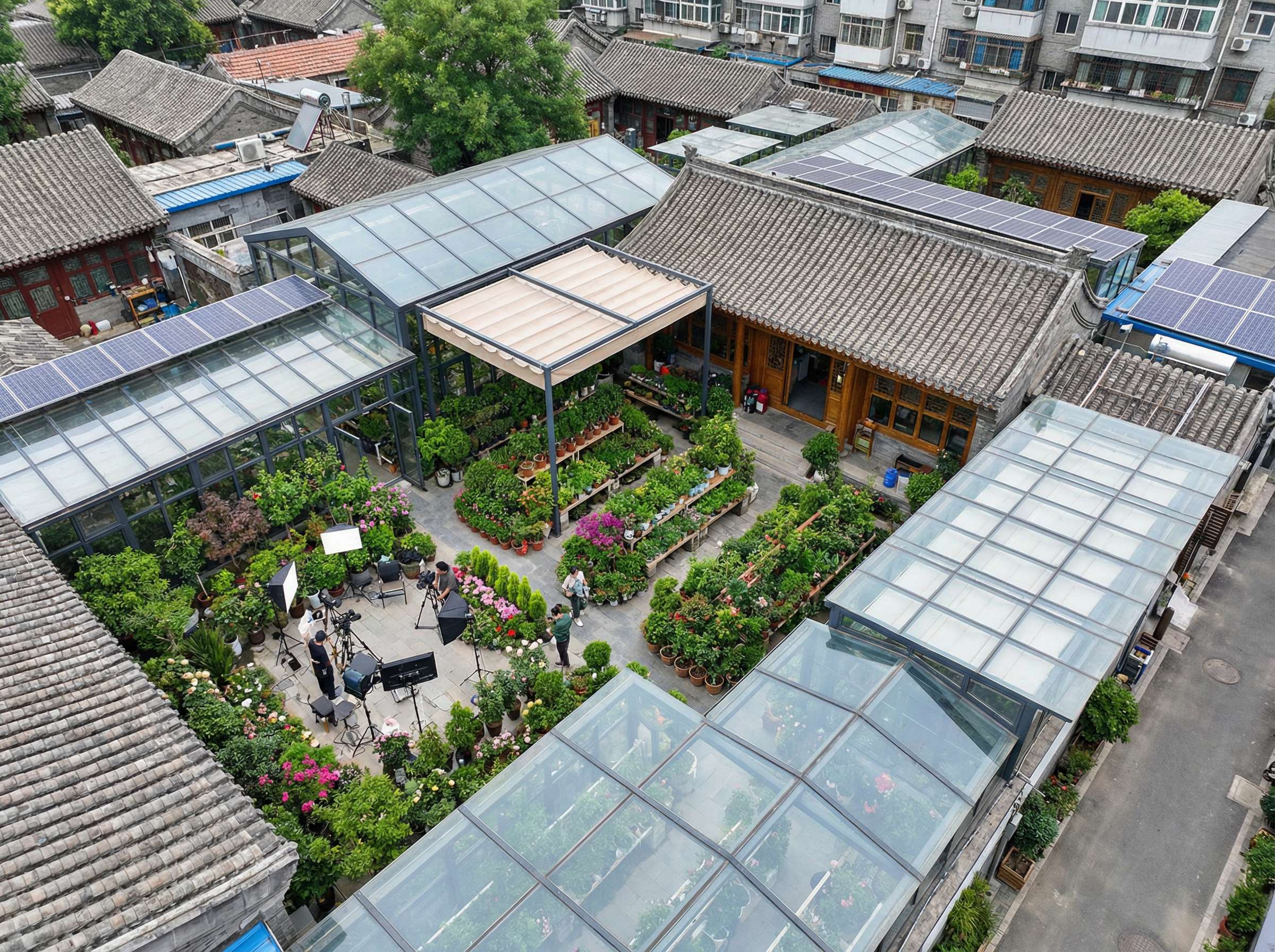 蘑菇视频植物视频社区愿景